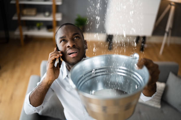 Best Water damage cleanup near me  in Thornville, OH