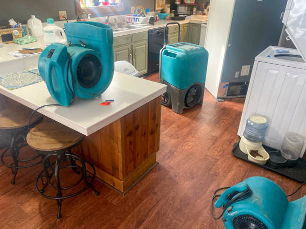Best Carpet water damage restoration  in Thornville, OH