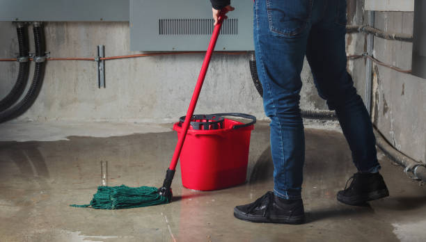 Best Water damage restoration near me  in Thornville, OH