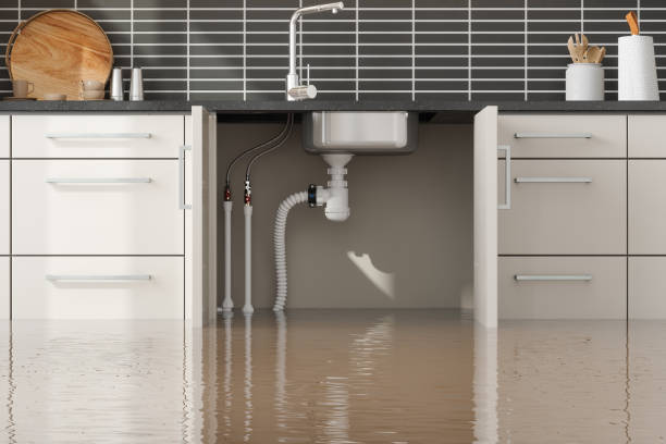Best Water damage repair service  in Thornville, OH