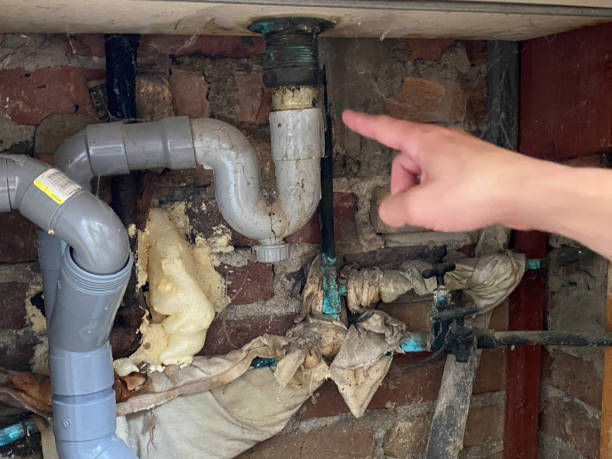 Best Flooded house restoration  in Thornville, OH