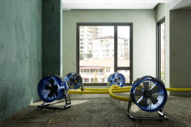 Best Water damage mitigation services  in Thornville, OH